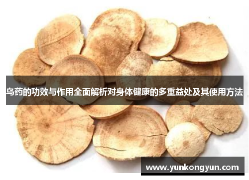 乌药的功效与作用全面解析对身体健康的多重益处及其使用方法