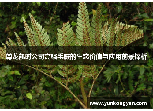 尊龙凯时公司高鳞毛蕨的生态价值与应用前景探析