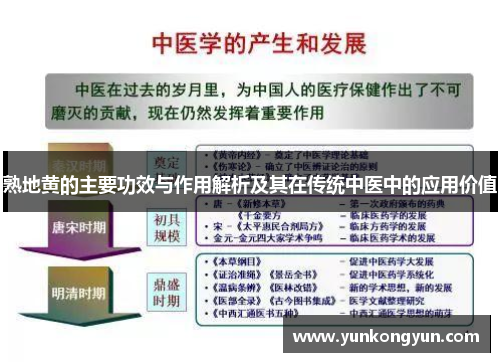 熟地黄的主要功效与作用解析及其在传统中医中的应用价值